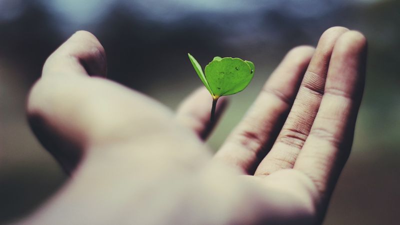 A playbook on how to build a sustainable growth strategy